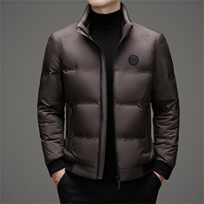 2025新款男士立领羽绒服中青年冬季短款保暖防寒羽绒服外套男装，男装羽绒服，钱塘6003（原4033）