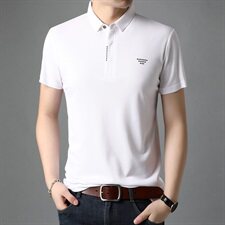 G72902021夏季新款T恤衫男POLO衫短袖翻领，男装T恤，电商B360