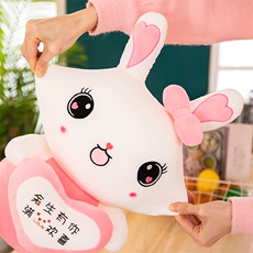 乐迪毛绒玩具 抱心兔子公仔（有版权）
