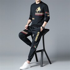SXL9625秋季2023年新款男士长袖长裤修身休闲时尚卫衣套装P155，男装休闲套装，电商B360