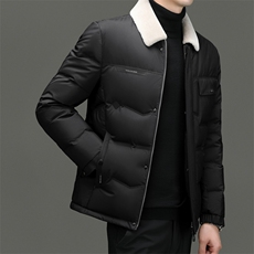 DF31827钱塘2020-2商务百搭简约厚款翻领新款中年男士羽绒服P273，男装羽绒服，钱塘207-2