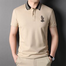 polo衫短袖男夏季潮牌2023新款半袖上衣宽松翻领t恤男，男装T恤，电商B212（原钱塘6029）