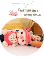 乐乐玩具厂 情侣款萌萌可爱抱心猪