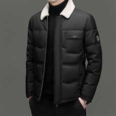 DF31827钱塘2020-2商务百搭简约厚款翻领新款中年男士羽绒服P273，男装羽绒服，钱塘207-2