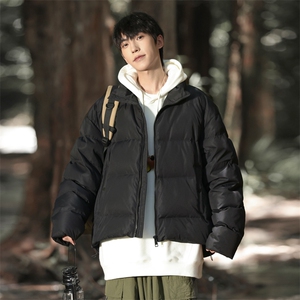 冬季新款港风立领棉服青少年潮流百搭保暖外套618A-26M006-P88图片