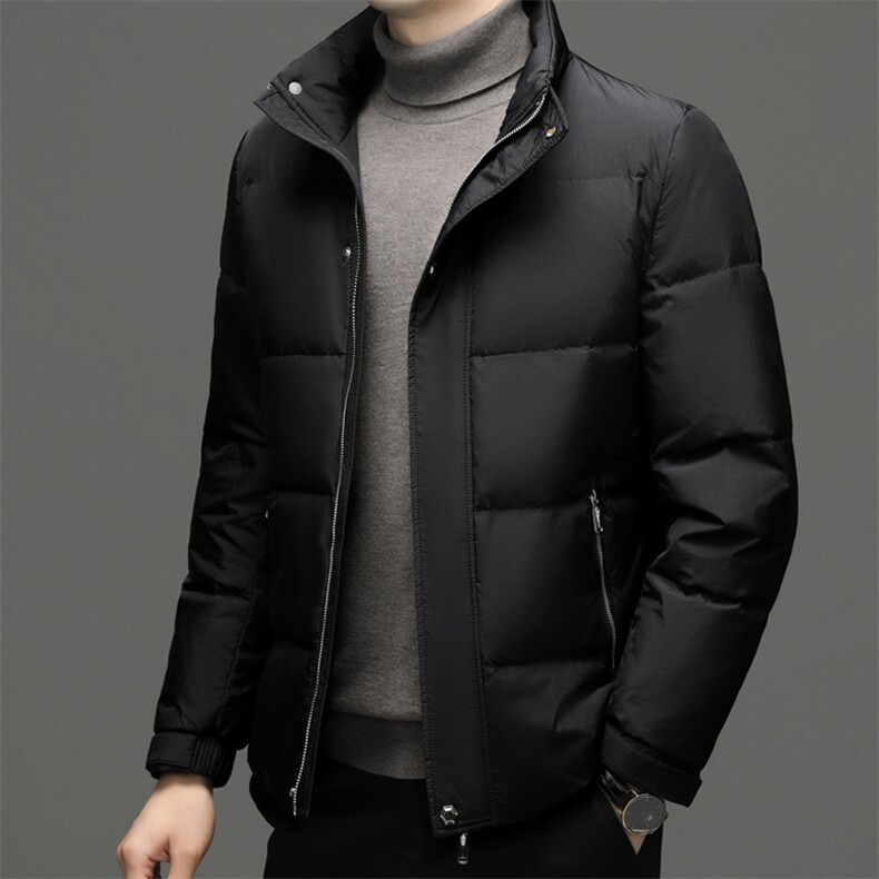 羽绒服男立领冬季加厚加绒白鸭绒外套新款中年男士商务休闲上衣,男装羽绒服,电商B212（原钱塘6029）