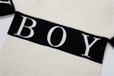 跨境男士新款加绒加厚半高领字母仿水貂绒毛衣  FD-boy P43图片