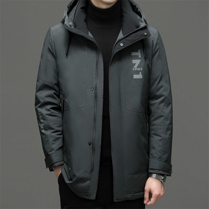 DF22633钱塘2020-2中年男士冬季厚款时尚休闲有帽羽绒服P280图片