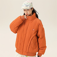 2025冬季新款男日系潮牌立领白鸭绒羽绒服加厚外套棉衣YR50-F255，男装羽绒服，电商A101（原外27）