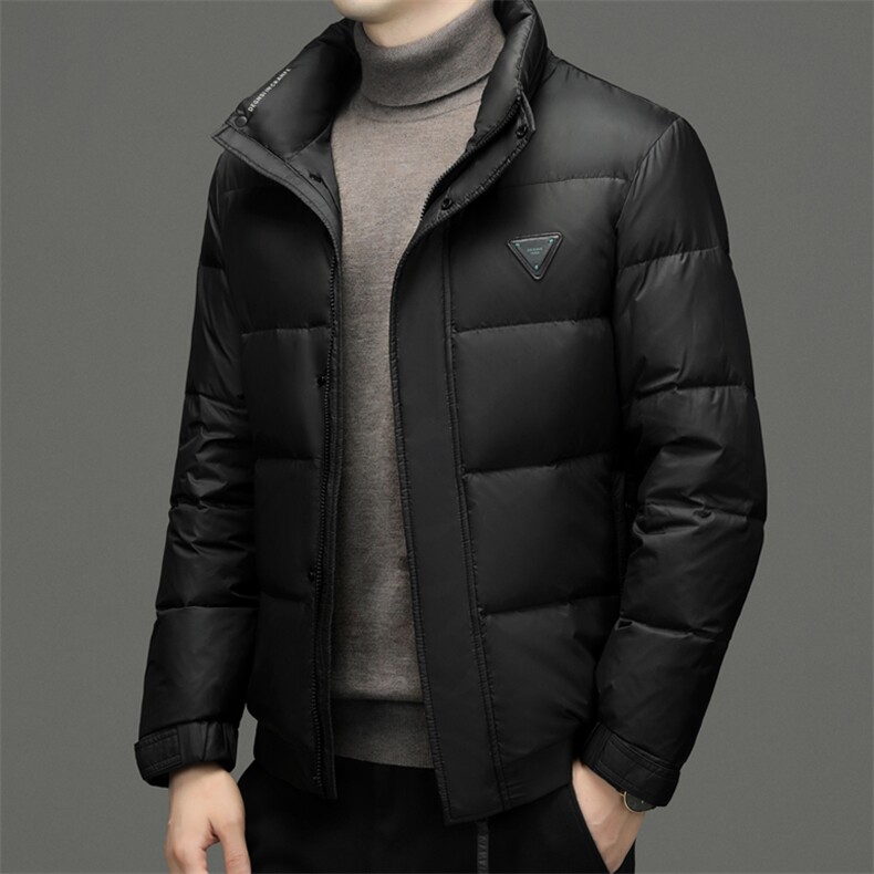 CAH9316钱塘2020-2冬季厚款时尚休闲简约立领中年男士羽绒服P240,男装羽绒服,钱塘207-2