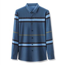 2023春秋季新款条纹衬衫男长袖中年男装潮流商务休闲宽松薄款寸衫，男装衬衫，电商B212（原钱塘6029）