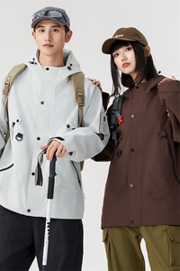 Y5990-P228 冬季新款新标85白鸭绒情侣款三合一连帽羽绒服图片