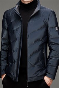 BAMJ-6092钱塘2020-2中年男士商务休闲简约冬季厚款羽绒服P190图片