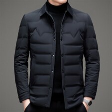 BAMJ-12119钱塘2020-2冬季厚款商务休闲简约中年男士羽绒服P170，男装羽绒服，钱塘207-2