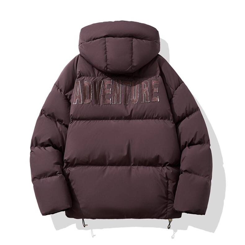 男士冬季新款连帽加厚保暖基础百搭羽绒服外套D213-6228-P490,男装羽绒服,电商D213