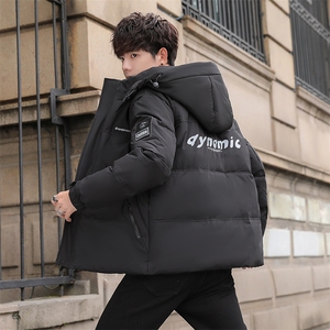 2025冬季新款90白鸭绒连帽休闲羽绒服男外套 备货充足 R9021-P150图片
