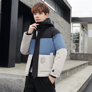 现货 外贸侧飞图立领光板团体服班服宽松韩版情侣学生外套羽绒服图片