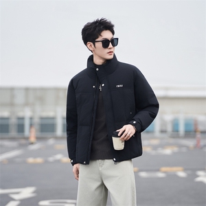 37868-M-3XL-P205标50绒社会小伙纯色百搭休闲立领鸭绒羽绒服男图片
