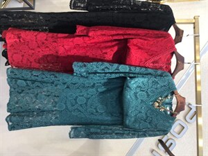 春款连衣裙图片