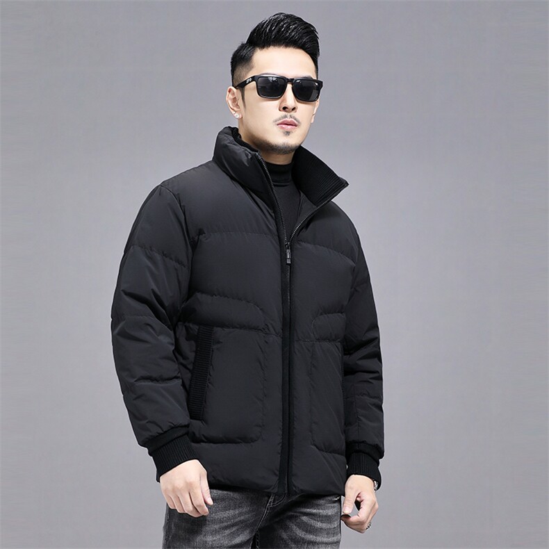 2023新款立领羽绒服男士中年商务休闲冬季上衣男装厚款保暖外套,男装羽绒服,电商B212（原钱塘6029）