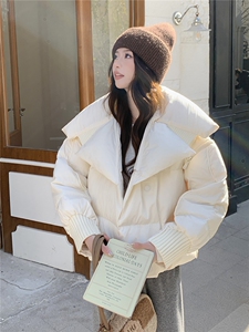 衣秀之家2319款短款大翻领加厚时尚羽绒服冬季保暖外套女图片