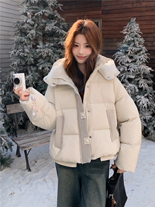 现货新款2163-P275-K399小个子羽绒面包服女图片