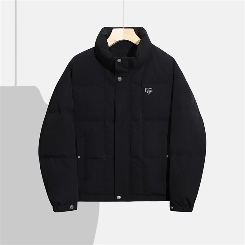 2025冬季DS-A225标新款男士立领白鸭绒羽绒服37858-P165图片