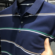 夏季保罗POLO衫男士短袖T恤时尚休闲翻领宽松半袖中年男装体恤衫，男装Polo衫，电商B212（原钱塘6029）