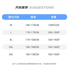 2024夏季新款短袖T恤男宽松港风潮流上衣，男装T恤，电商A409-1