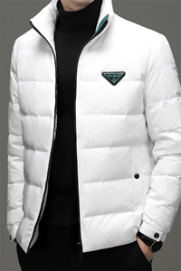 2023年新款羽绒服P285图片