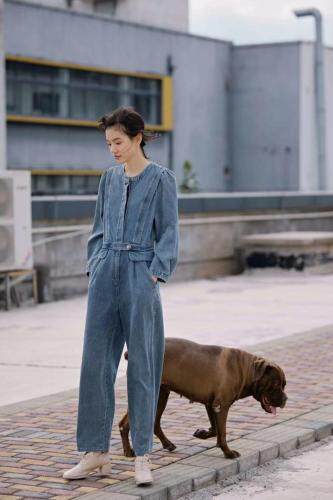 安素尚 HZASS106487