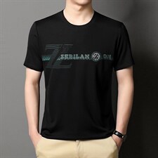 短袖T恤男夏季2023新款百搭圆领休闲中青年男装上衣体恤衫，男装T恤，电商B212（原钱塘6029）