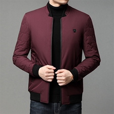 冬季新款中年男士商务休闲棉服立领保暖加厚爸爸装棉衣外套上衣，男装棉衣，电商B212（原钱塘6029）