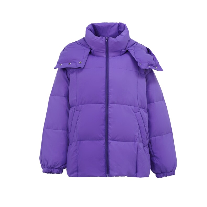 2025年秋季拉链短款长袖立领羽绒服简约大方时尚百搭，女装羽绒服，禾雯电商供货