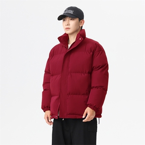 现货二开 抖音得物可供视频 三防加厚羽绒棉衣外套棉服WM1266图片