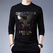 21秋冬装长袖T恤男潮针织印花卫衣打底上衣单P90XSL2113-P100，男装T恤，电商B212（原钱塘6029）