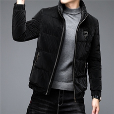 冬装新款中老年羽绒服男立领灰鸭绒爸爸装外套上衣ALXB21036-P275，男装羽绒服，电商B212（原钱塘6029）
