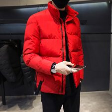 棉服男士保暖棉衣外套加厚棉袄2020冬季新款DS212T，男装棉衣，电商A102