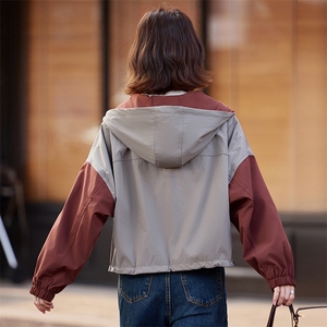 时尚撞色学生外套女2024韩系早秋宽松休闲爆款工装连帽夹克上衣图片