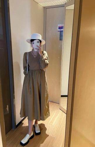 秋装新款连衣裙，女装连衣裙，达丽依秀