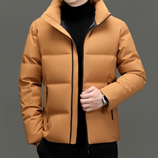 DF238钱塘2020-2冬季百搭简约立领厚款中年男士羽绒服P255，男装羽绒服，钱塘207-2