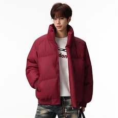 新款冬季羽绒立领PU皮棉服棉袄韩版宽松外套A436-2522-P80，男装棉衣，电商A436