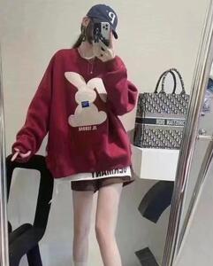 新款兔子加绒卫衣,女装卫衣/绒衫,娇姿百合