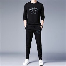 中青年运动套装男士2023春秋季休闲圆领印花长袖T恤上衣两件套，男装休闲套装，电商B212（原钱塘6029）