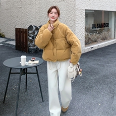 新款主推丝绒羽绒50绒羽绒服2655-P245-K368，女装短外套，2C129