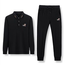 秋季男士休闲运动服套装男中年翻领时尚气质长袖卫衣裤两件套潮流，男装休闲套装，电商B212（原钱塘6029）