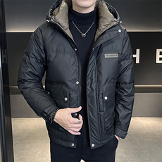 DS-A225-2025冬季标新款羽绒服男士短款连帽加厚工装羽绒外套，男装羽绒服，电商A225