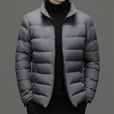 冬季立领纯色棉衣新款中年男士商务休闲厚款保暖棉服外套男装，男装棉衣，电商B212（原钱塘6029）