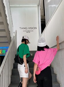 夏季百搭款 素T 小挂件T图片