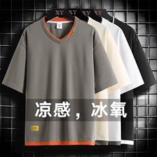 夏季短袖网格挂拍休闲宽松潮牌百搭短袖T恤男TC3138RK01-P30控50，男装T恤，星座717